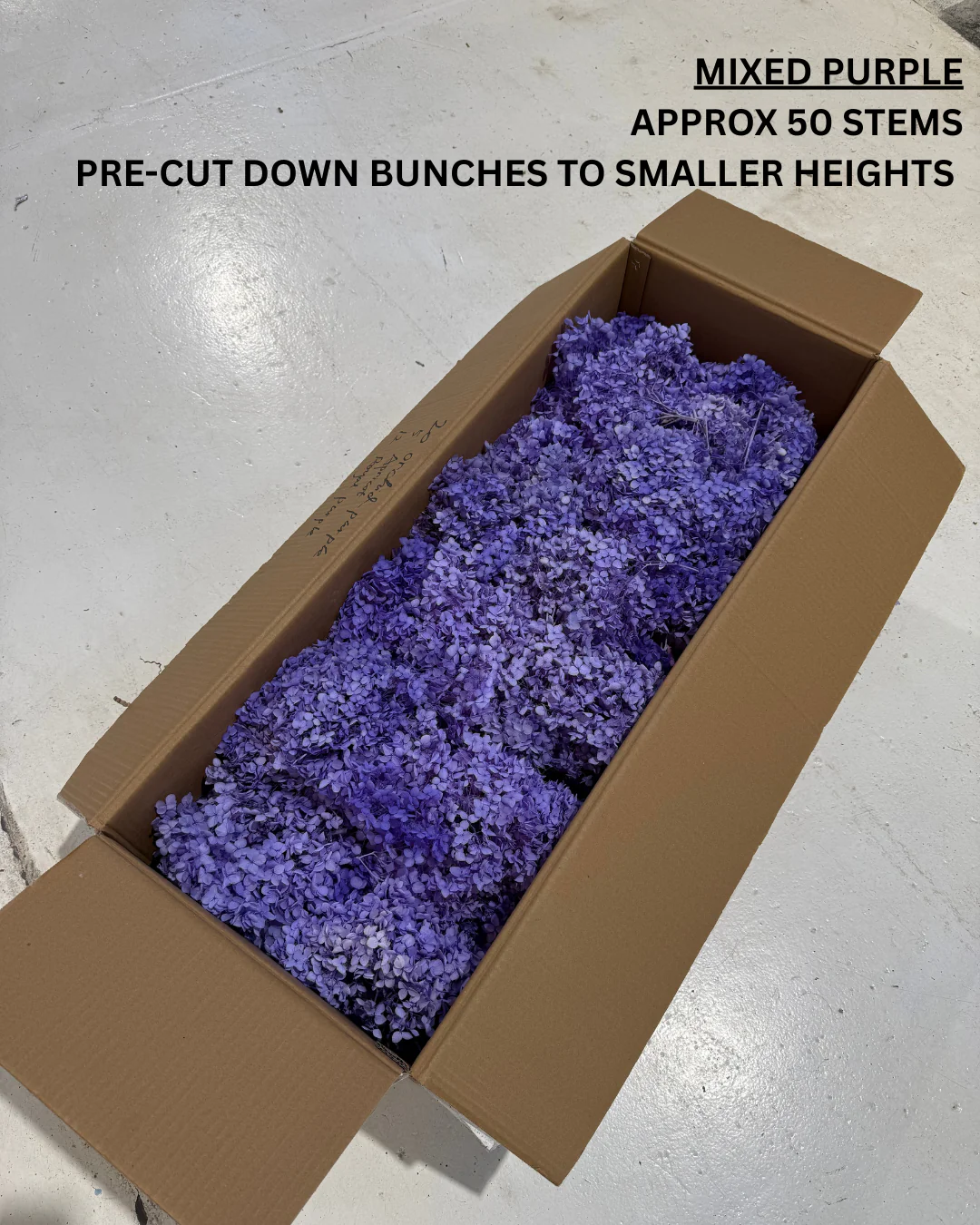 PRESERVED FLOWERS - Image 4