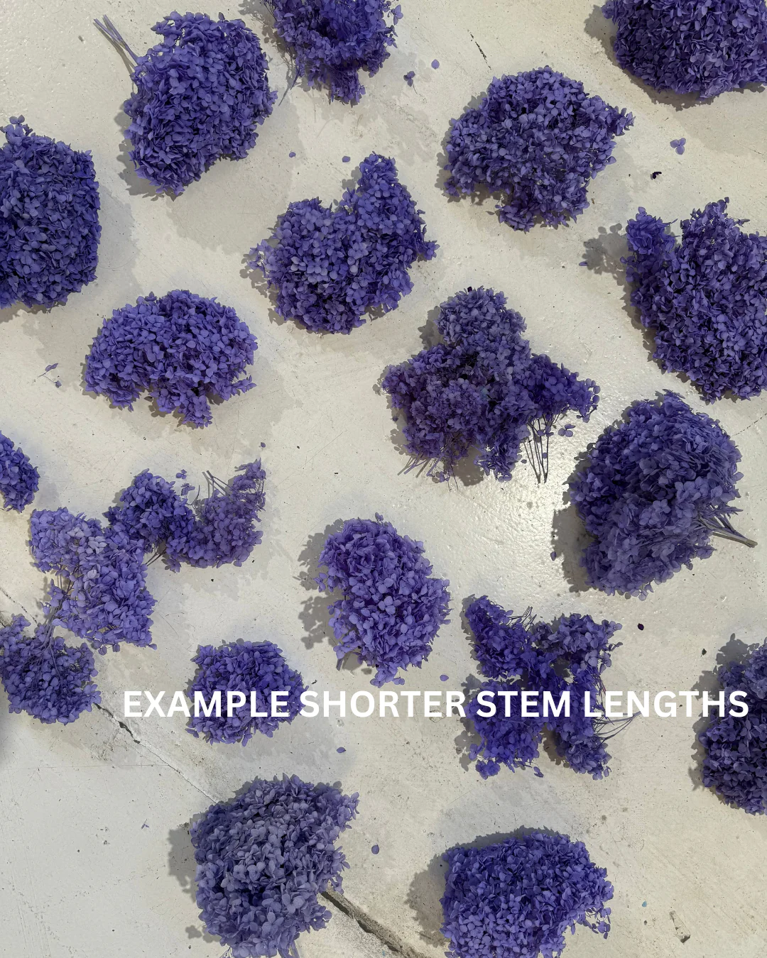 PRESERVED FLOWERS - Image 8